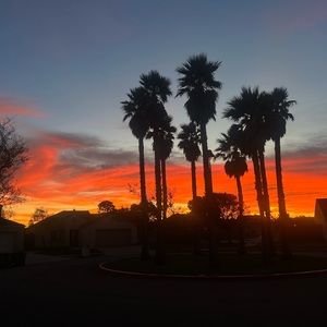 Meet your Posher, Ameeya